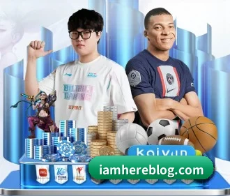 持续创新